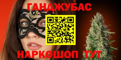гидра Кингисепп