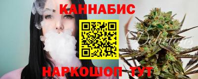 гидра Кингисепп