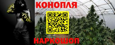 гидра Кингисепп