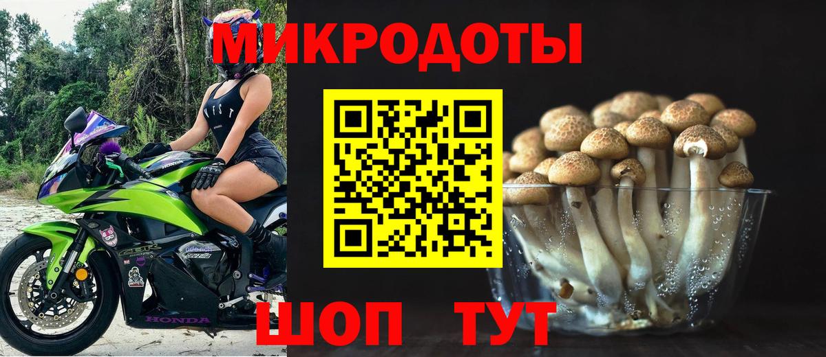 Железногорск  закладка  Вход с VPN  Галлюциногенные грибы MAGIC MUSHROOMS 